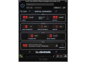 TC Electronic TC1210-DT