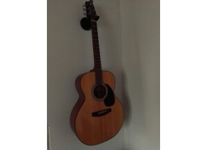 Takamine G220S