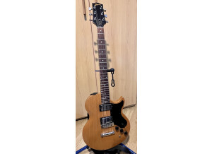 Gibson L6S