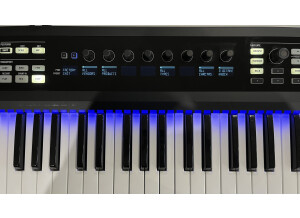 Native Instruments Komplete Kontrol S49 (1128)