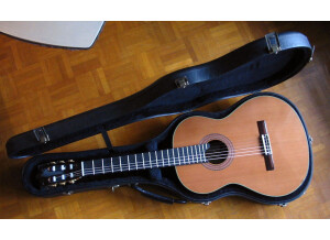Alhambra Guitars 11 P