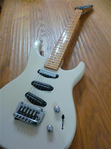 Washburn G-3V
