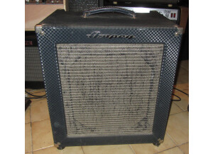 Ampeg B-100R (98902)