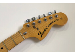 Fender Stratocaster Hardtail [1973-1983] (30916)