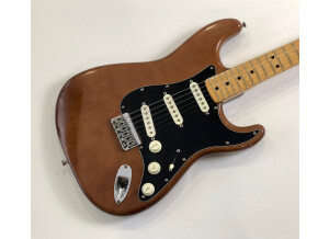 Fender Stratocaster Hardtail [1973-1983] (25533)