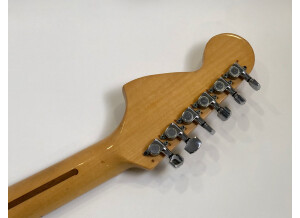 Fender Stratocaster Hardtail [1973-1983] (96958)