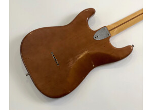 Fender Stratocaster Hardtail [1973-1983] (72646)