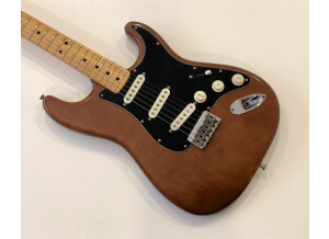 Fender Stratocaster Hardtail [1973-1983] (10021)