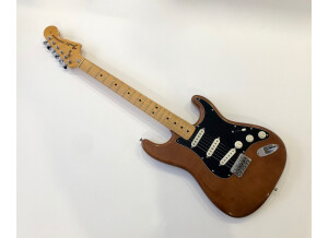 Fender Stratocaster Hardtail [1973-1983] (31700)