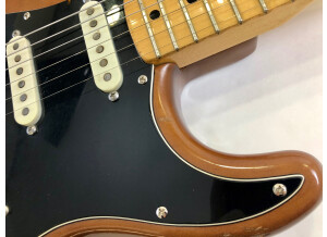 Fender Stratocaster Hardtail [1973-1983] (68794)