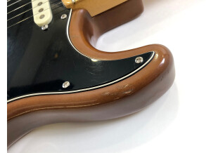 Fender Stratocaster Hardtail [1973-1983] (80305)