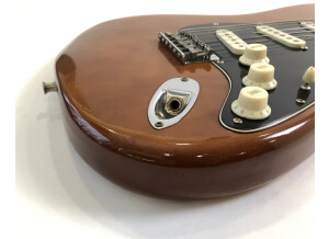 Fender Stratocaster Hardtail [1973-1983] (30887)