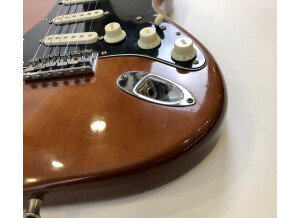 Fender Stratocaster Hardtail [1973-1983] (74259)
