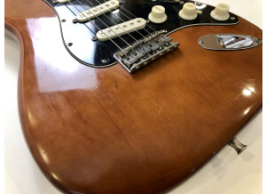 Fender Stratocaster Hardtail [1973-1983] (43896)