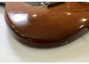 Fender Stratocaster Hardtail [1973-1983] (83333)