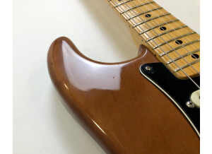 Fender Stratocaster Hardtail [1973-1983] (61186)