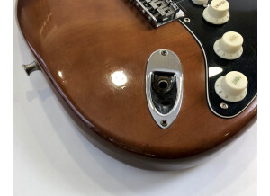 Fender Stratocaster Hardtail [1973-1983] (15003)