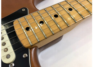 Fender Stratocaster Hardtail [1973-1983] (87122)