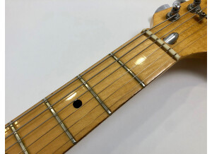 Fender Stratocaster Hardtail [1973-1983] (56695)