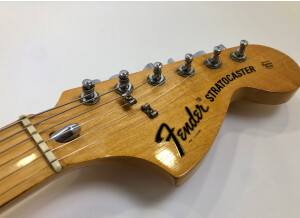Fender Stratocaster Hardtail [1973-1983] (74884)