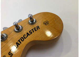 Fender Stratocaster Hardtail [1973-1983] (39905)