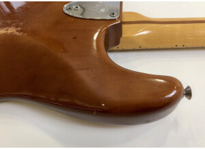 Fender Stratocaster Hardtail [1973-1983] (23849)