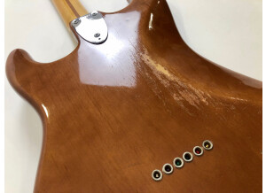 Fender Stratocaster Hardtail [1973-1983] (69391)