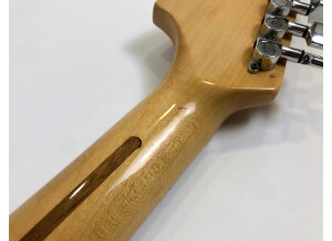 Fender Stratocaster Hardtail [1973-1983] (881)