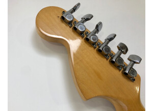 Fender Stratocaster Hardtail [1973-1983] (78324)