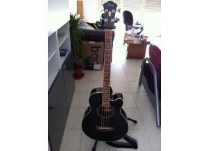 DigiTech JamMan (73242)