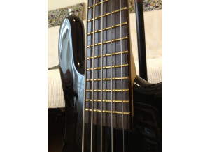 Warwick Streamer LX 5