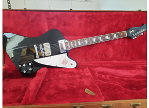 Resized 20221025 180805