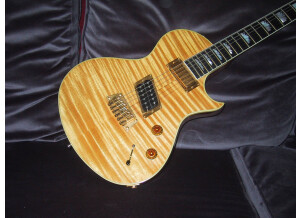Gibson Nighthawk Custom (54345)