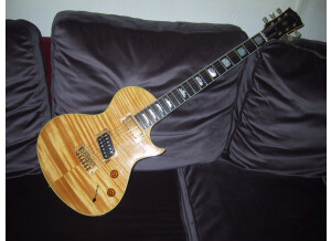 Gibson Nighthawk Custom (10401)