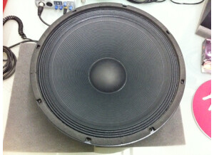 Ampeg SVT-15E (30612)