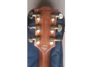 Gibson ES 359, flammed maple top