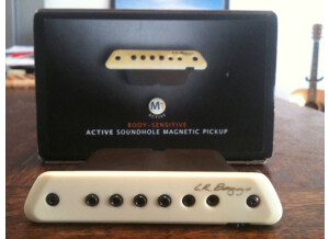 L.R. Baggs M1 Active (3173)