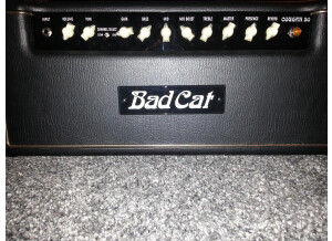 Bad Cat Cougar 50 Head (54803)