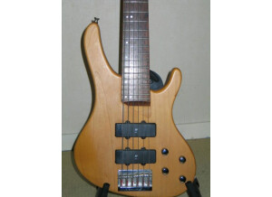 Washburn bantam 6 cordes fretless