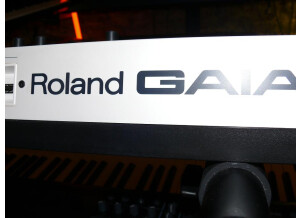 Roland GAIA SH-01 (96689)