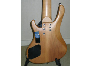 Washburn bantam 6 cordes fretless