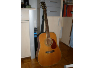 Cort Earth 230 (67490)