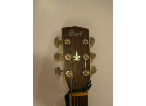 Cort Earth 230 (64484)