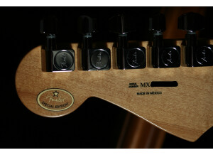 Fender FSR 2010 Standard Stratocaster
