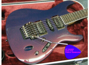 Ibanez S2170 - Purple Chameleon