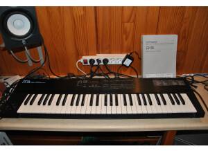 Roland D-5 (5517)