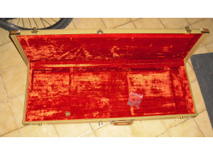 Fender Stratocaster Lone Star