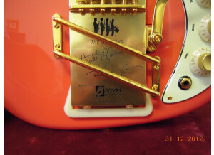 Burns Guitars Shadows Custom Signature
