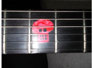 Gibson Voodoo V (42085)