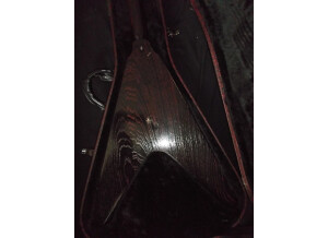 Gibson Voodoo V (72914)